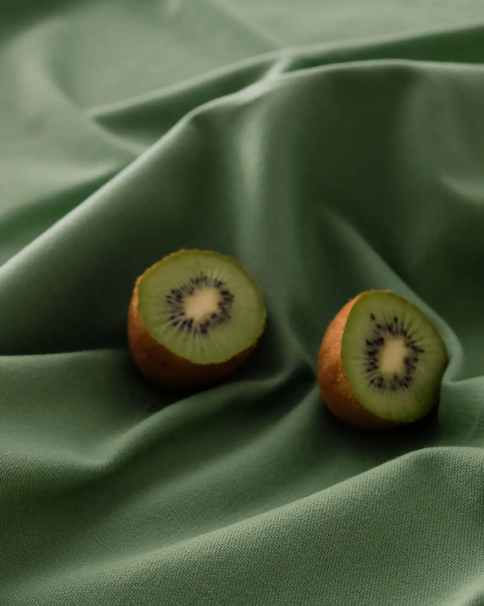 Coordonné Cactus 397 -