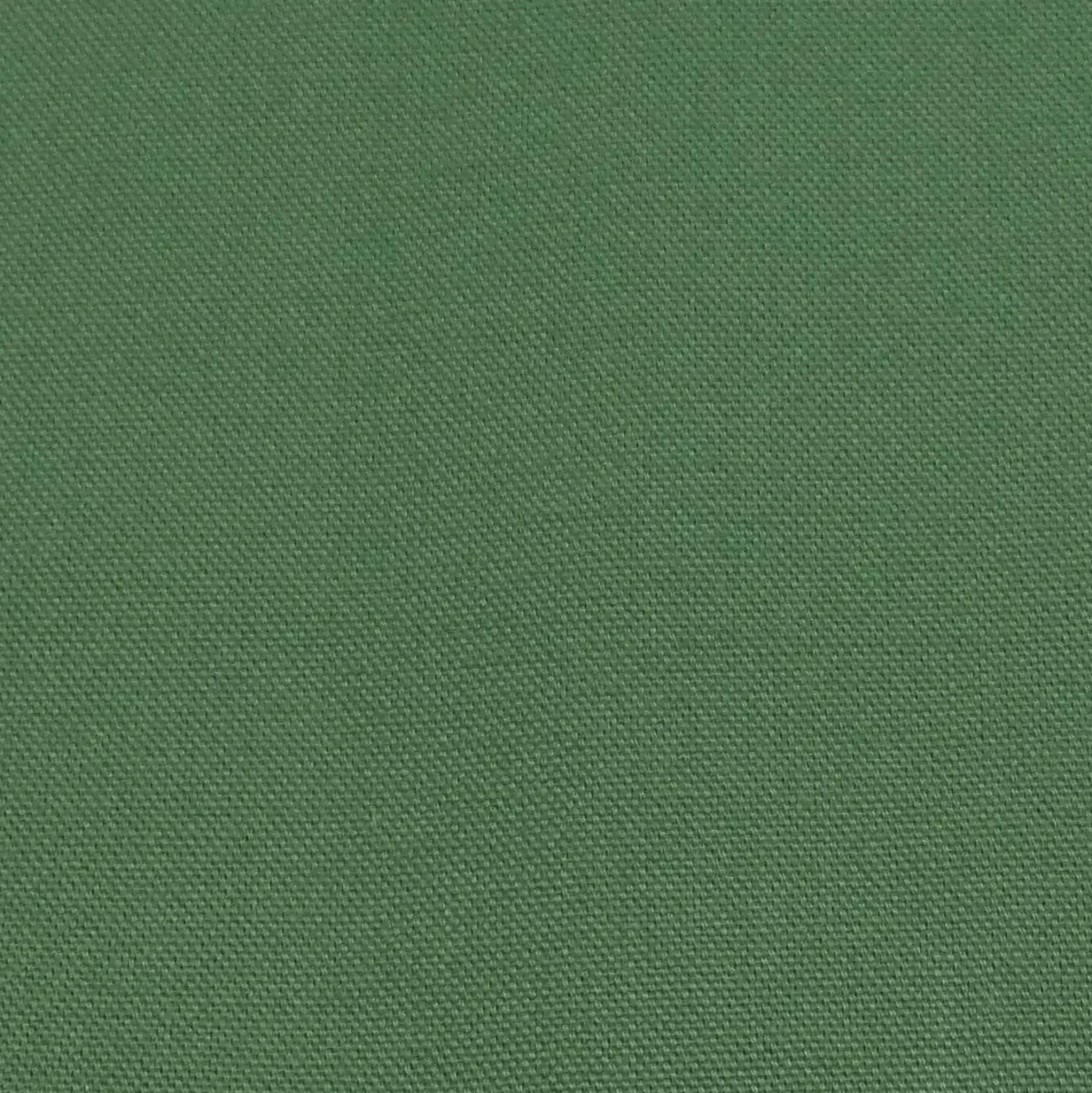 Coordonné Cactus 397 -