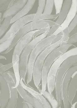 Coordonné Crop Fossils Quartz -