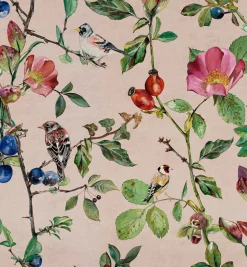 Coordonné Goldfinch Song Blush -