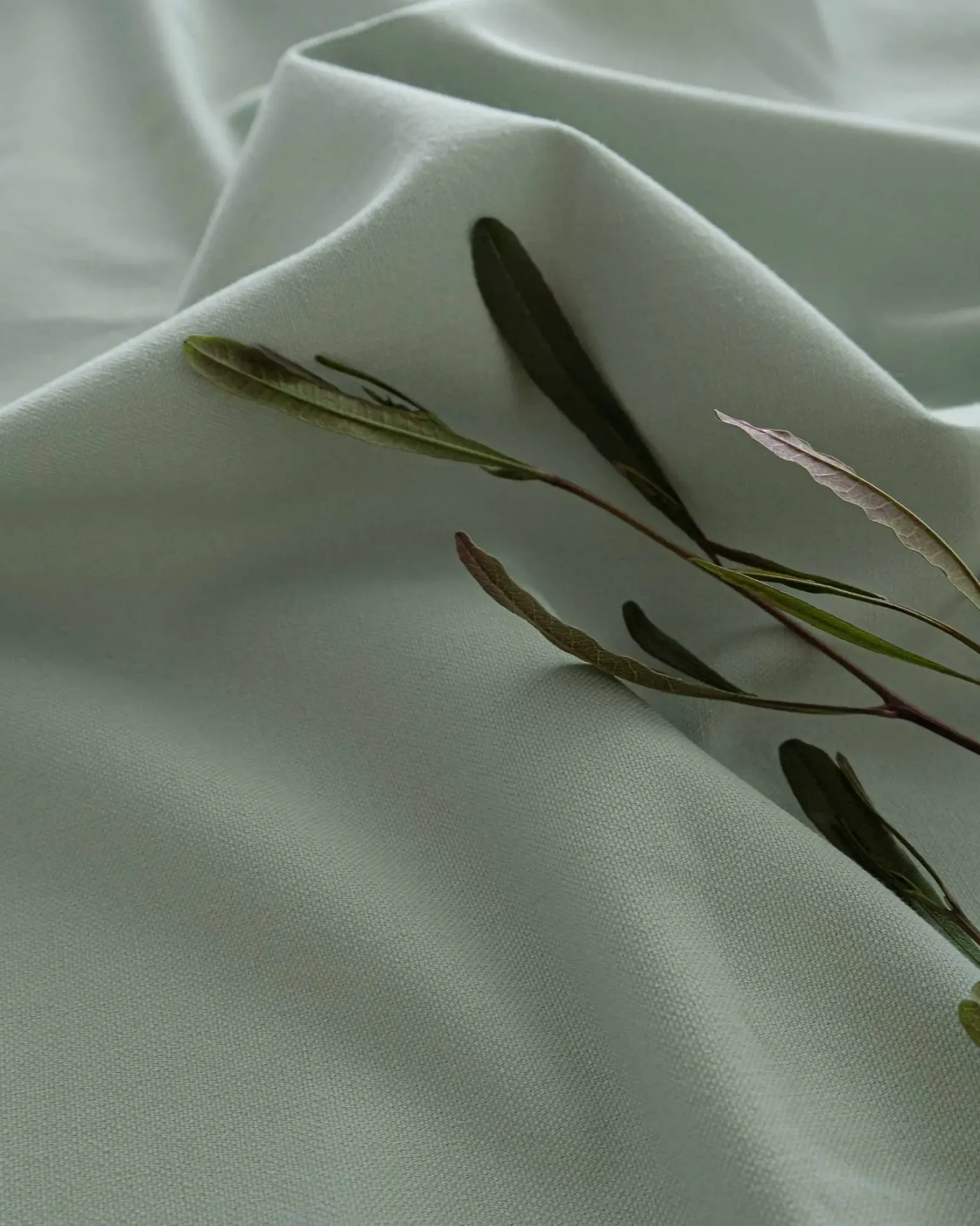 Coordonné Green Tea 668 -