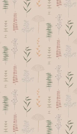 Coordonné Herbario Rosa -