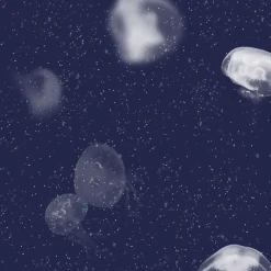 Coordonné Jellyfish Blue -