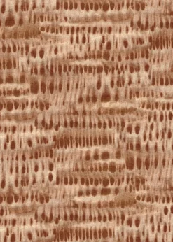 Coordonné Kawari Amber -