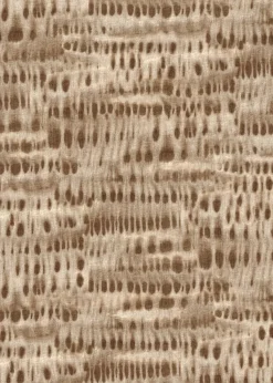 Coordonné Kawari Natural -