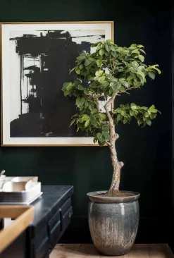 Coordonné Laurel -