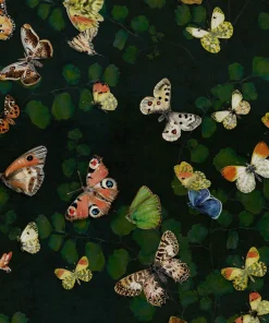 Coordonné Magic butterflies Night -