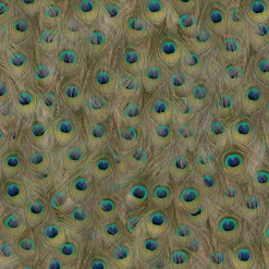 Coordonné Peafowl Original -