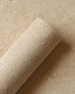 Coordonné Riz Ocre -