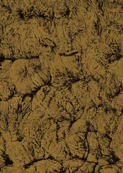 Coordonné Sepia Gold -