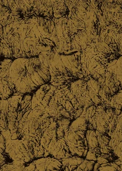 Coordonné Sepia Gold -
