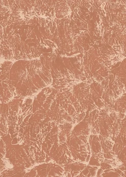 Coordonné Sepia Rose -