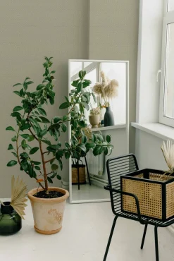 Coordonné Sisal Silvestre/Verde Claro -