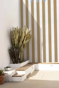 Coordonné Stripe 8 Curry -