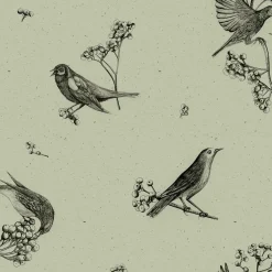 Coordonné Sweet Birds Matcha -