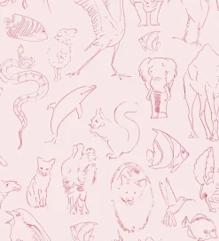 Coordonné Zoology Candy -