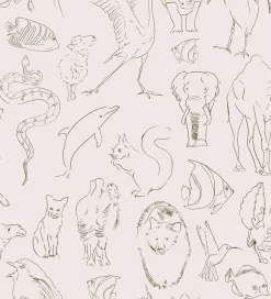 Coordonné Zoology Natural -